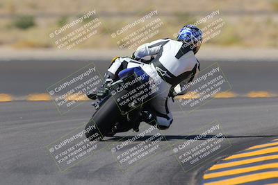 media/Oct-08-2022-SoCal Trackdays (Sat) [[1fc3beec89]]/Turn 11 Backside (1145am)/